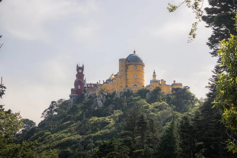 Pena Palace with yellow and red towers above lush forest